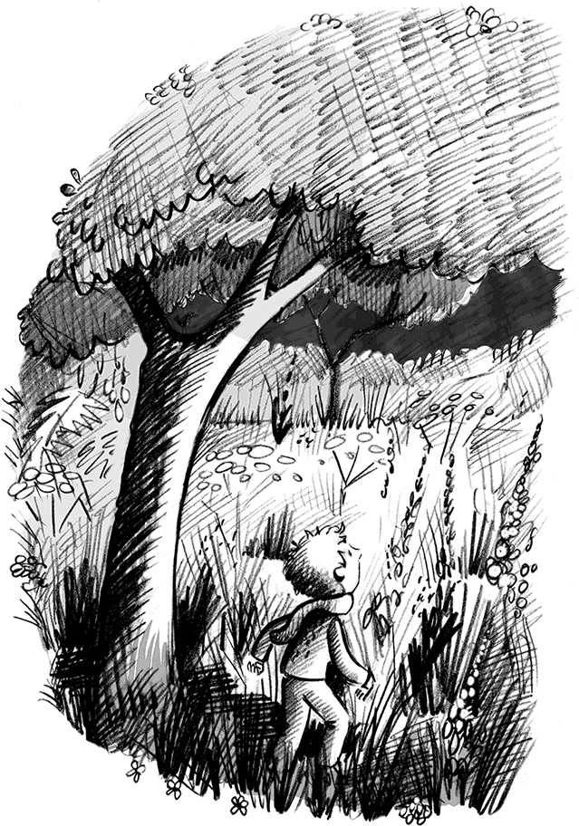 Джордж и тайны Вселенной Джордж и тайны Вселенной