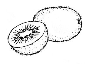 Диабет. Советы и рекомендации ведущих врачей