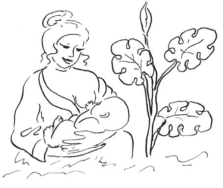 Здоровые дети – счастливая семья Здоровые дети – счастливая семья