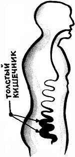 Питание и долголетие Питание и долголетие