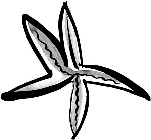 Питание и долголетие Питание и долголетие