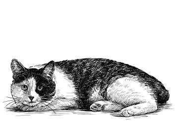 Простишь — не простишь Простишь — не простишь