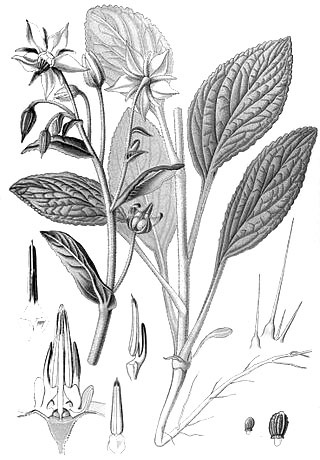 Человек-невидимка. Как читать людей на расстоянии