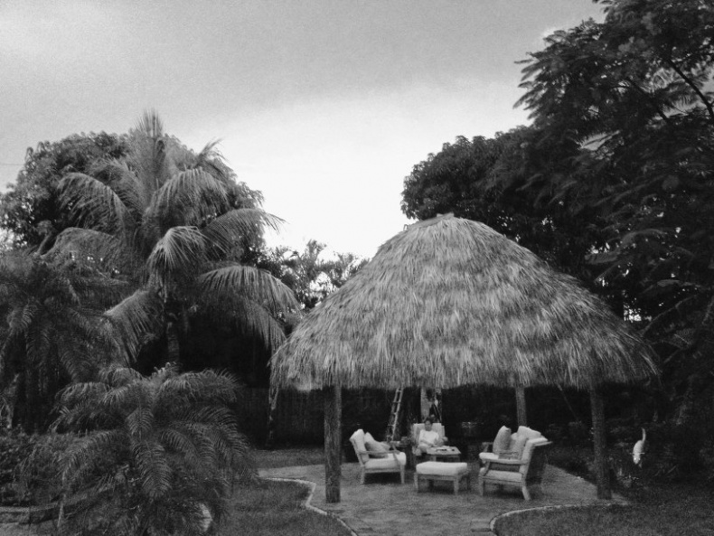 Пока не сказано «прощай». Год жизни с радостью