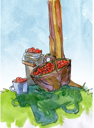 Сказки про детей Сказки про детей