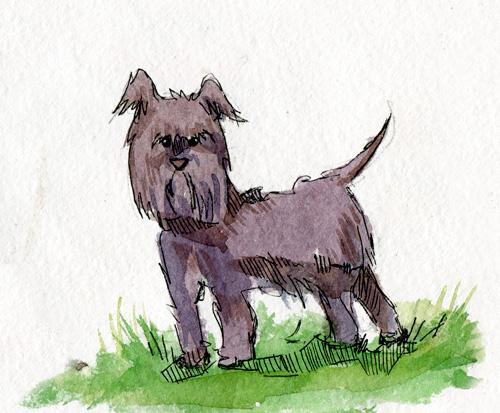 Сказки про детей. Продолжение Сказки про детей. Продолжение