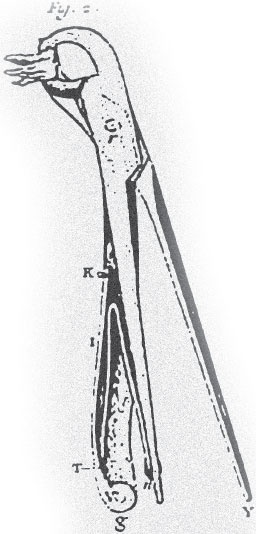 Монстролог. Ступени, ведущие в бездну Монстролог. Ступени, ведущие в бездну