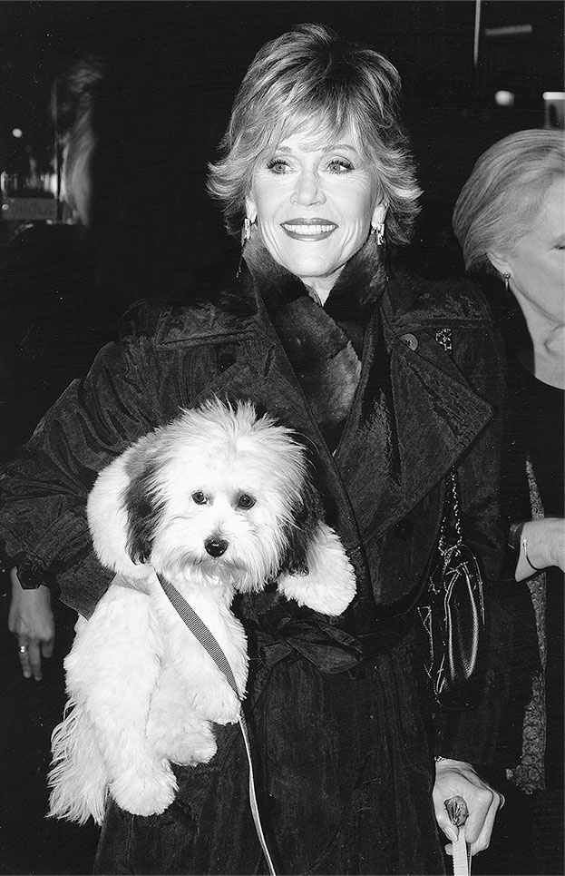 Прайм-тайм. После 50 жизнь только начинается Прайм-тайм. После 50 жизнь только начинается