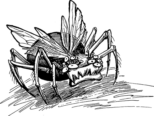 Космотехнолухи. Том 2 Космотехнолухи. Том 2