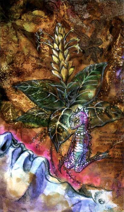 Цветник бабушки Корицы Цветник бабушки Корицы