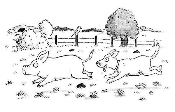 Руди-Пятачок Руди-Пятачок