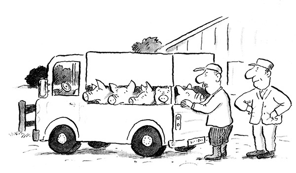 Руди-Пятачок Руди-Пятачок