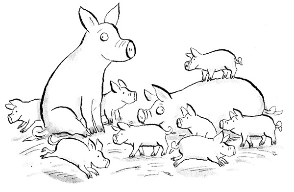 Руди-Пятачок Руди-Пятачок