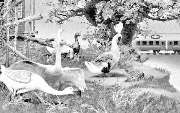 Привет от тети Моти Привет от тети Моти