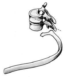 Ария для спины. Авторская программа, чтобы никогда не болели суставы