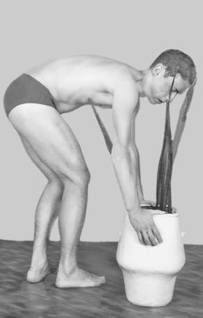 Ария для спины. Авторская программа, чтобы никогда не болели суставы