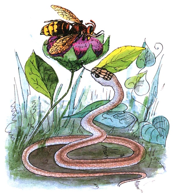 Девочка с голубыми глазками. Марочкин сон Девочка с голубыми глазками. Марочкин сон