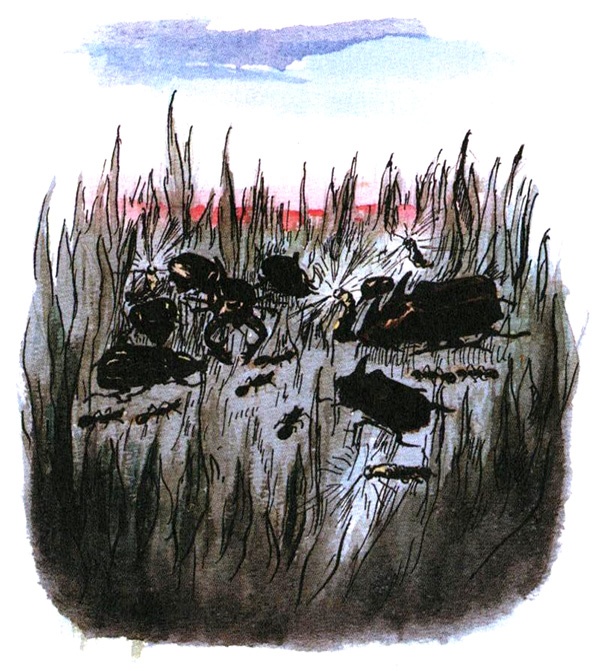 Девочка с голубыми глазками. Марочкин сон Девочка с голубыми глазками. Марочкин сон