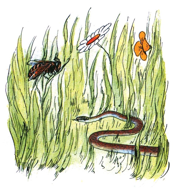 Девочка с голубыми глазками. Марочкин сон Девочка с голубыми глазками. Марочкин сон