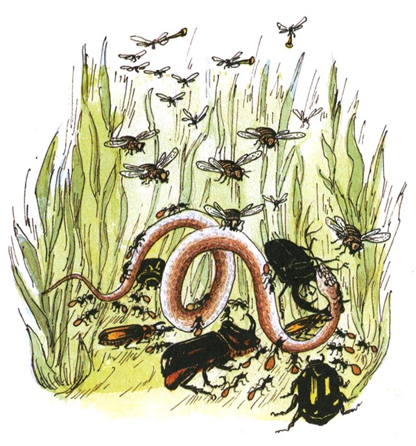 Девочка с голубыми глазками. Марочкин сон Девочка с голубыми глазками. Марочкин сон