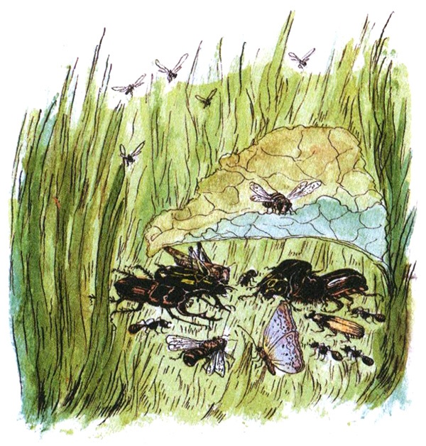 Девочка с голубыми глазками. Марочкин сон Девочка с голубыми глазками. Марочкин сон