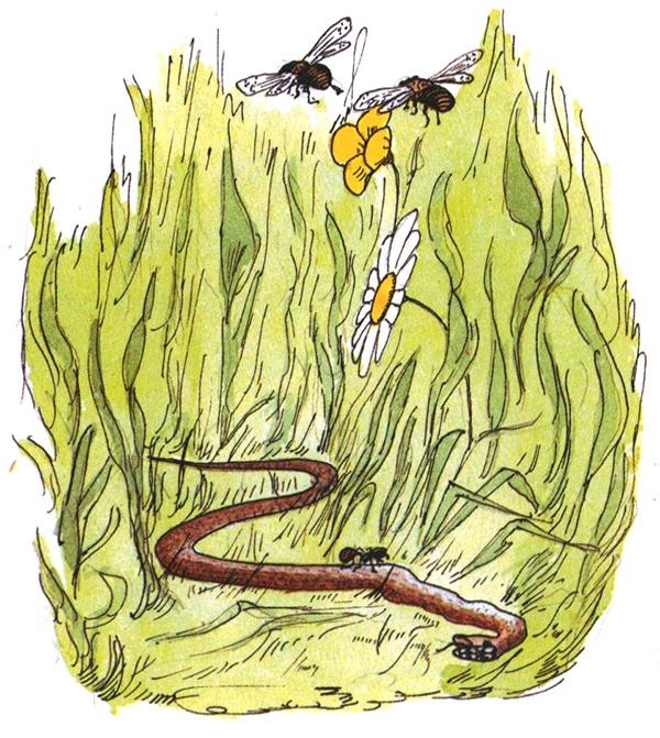 Девочка с голубыми глазками. Марочкин сон Девочка с голубыми глазками. Марочкин сон