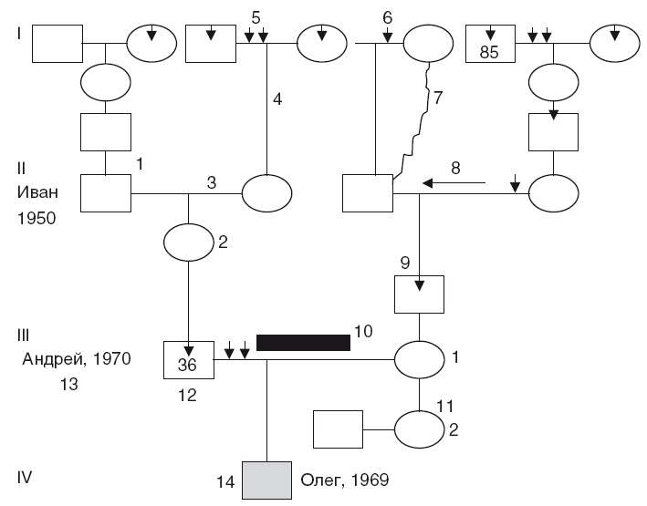 Власть рода. Родовые программы и жизненные сценарии Власть рода. Родовые программы и жизненные сценарии