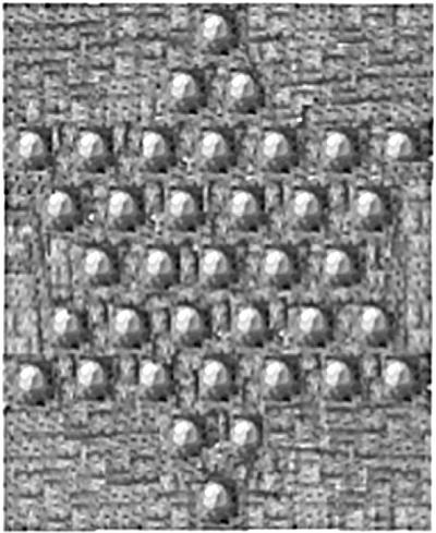 Костяной лабиринт Костяной лабиринт