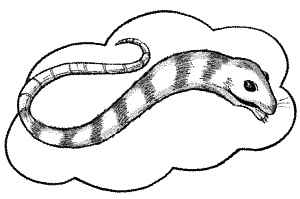 Школа монстров. Подруги навсегда! Школа монстров. Подруги навсегда!