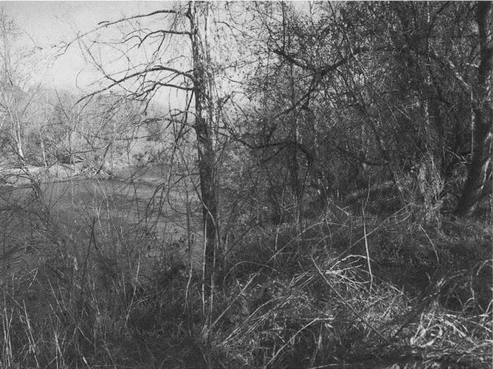 Джефферсон Джефферсон