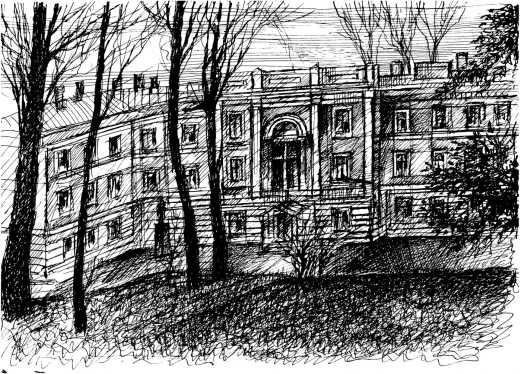 Выше боли Выше боли