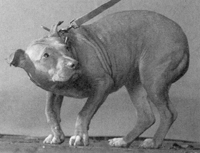 Спасенные Спасенные