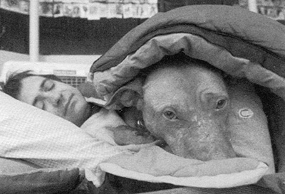 Спасенные Спасенные