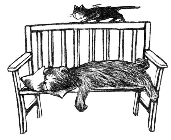 Я всего лишь собака Я всего лишь собака