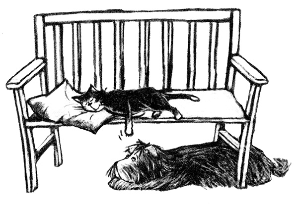 Я всего лишь собака Я всего лишь собака