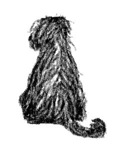 Я всего лишь собака Я всего лишь собака