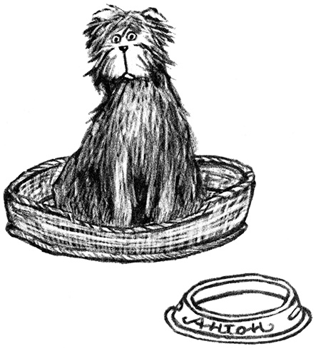 Я всего лишь собака Я всего лишь собака