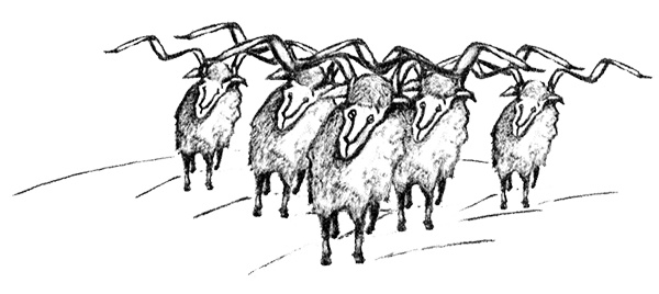 Я всего лишь собака Я всего лишь собака