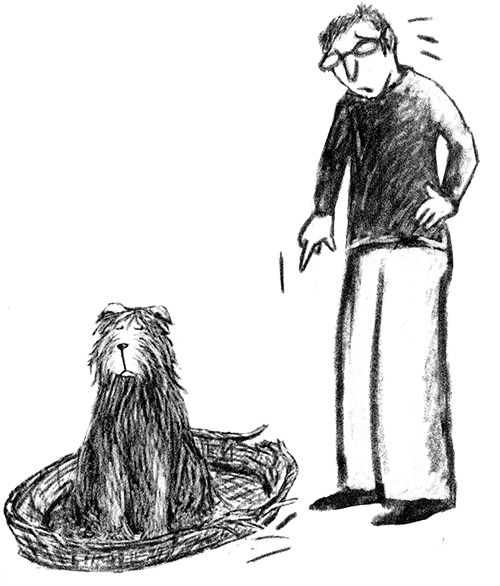 Я всего лишь собака Я всего лишь собака