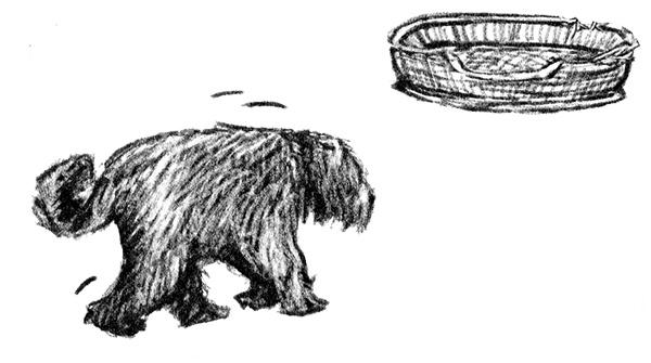 Я всего лишь собака Я всего лишь собака