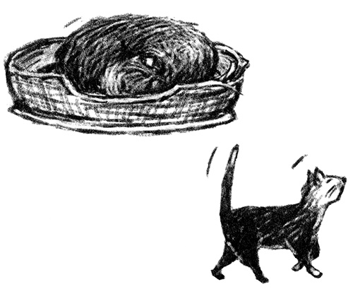 Я всего лишь собака Я всего лишь собака