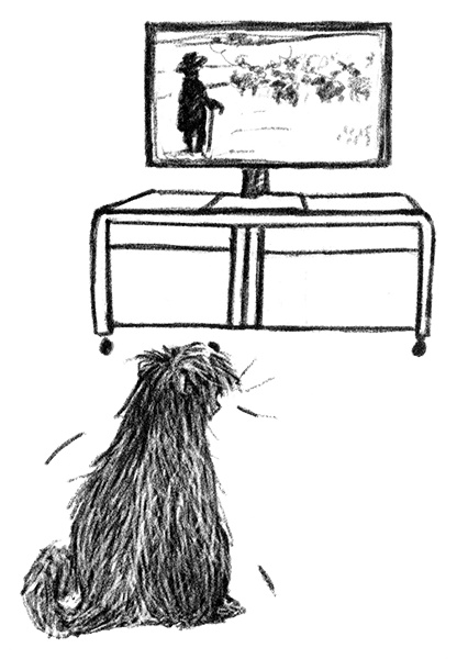 Я всего лишь собака Я всего лишь собака