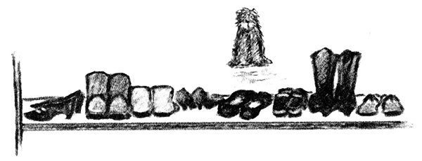 Я всего лишь собака Я всего лишь собака