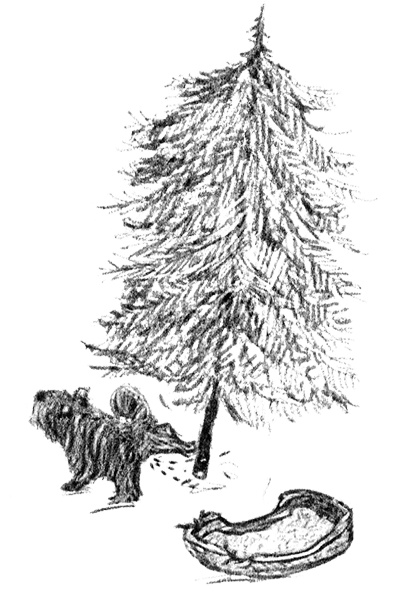 Я всего лишь собака Я всего лишь собака