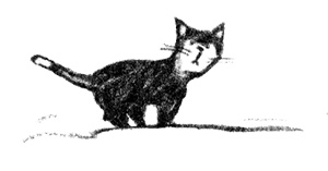 Я всего лишь собака Я всего лишь собака