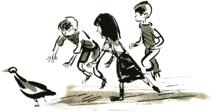 Щучье лето Щучье лето