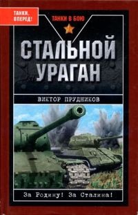 Стальной ураган - Виктор Прудников