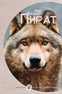 Пират - Лев Брандт