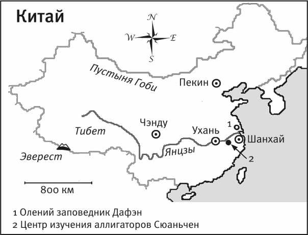 Песни драконов. Любовь и приключения в мире крокодилов и прочих динозавровых родственников