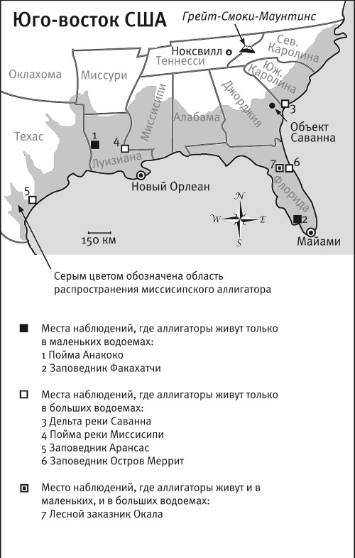 Песни драконов. Любовь и приключения в мире крокодилов и прочих динозавровых родственников